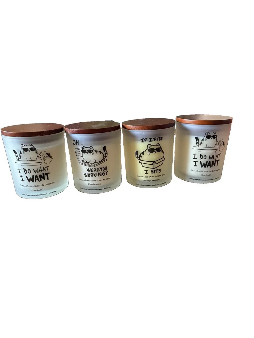 Clever Creation “ If I fits I sit” soy candle.